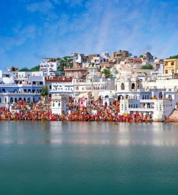 Fullday pushkar tour from jaipur with guid+camel/jeep safari - Authentic Encounters and Practical Tips