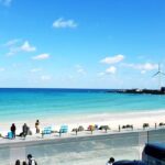 Fully Customizable Private Tour of Jeju Island - The Sum Up: Why This Tour Could Be Your Best Choice