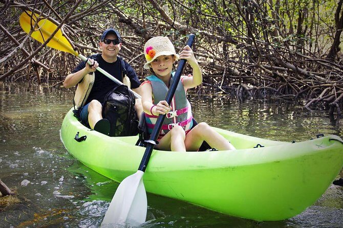 Fully Guided Kayaking Backwater Manatee and Dolphin Tour - The Value of a Guided Kayaking Tour