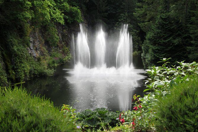 Fully narrated tour of Butchart Gardens and Saanich Peninsula - The Experience’s Strengths and Limitations