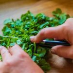 Fun 2-Hour Tacos Cooking Class in Washington D.C. - Who Will Enjoy This Class?