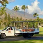 Fun & Affordable! West Maui Open-Air Sightseeing Tour! - The Itinerary: What to Expect