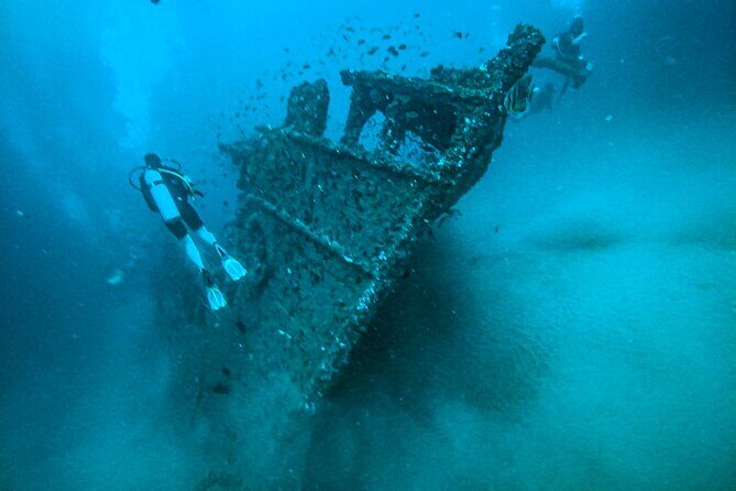 Fun Dives For Certified Divers - Who Should Consider This Tour?