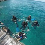 Fun Dives - Guided Dives for Certified Divers - FAQ
