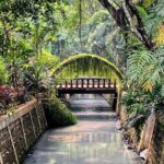 Fun Food Tour Jakarta - Exploring Jakarta’s Authentic Flavors and Green Spaces