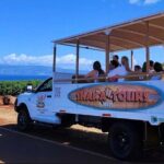 Fun! Open-Air Banyan Tree Forest & Blowhole Sight-Seeing MauiTour - Final Thoughts