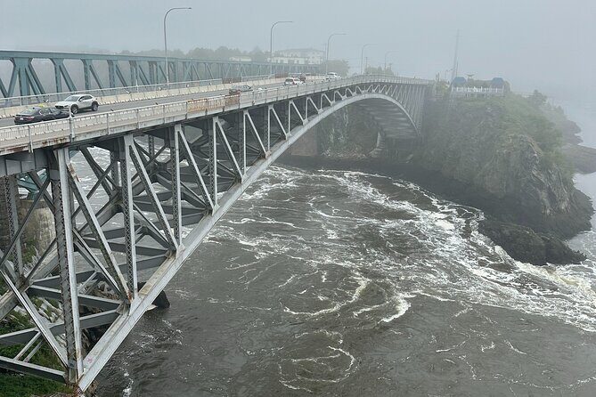 Fundy Shore Tour By Bus - Final Thoughts