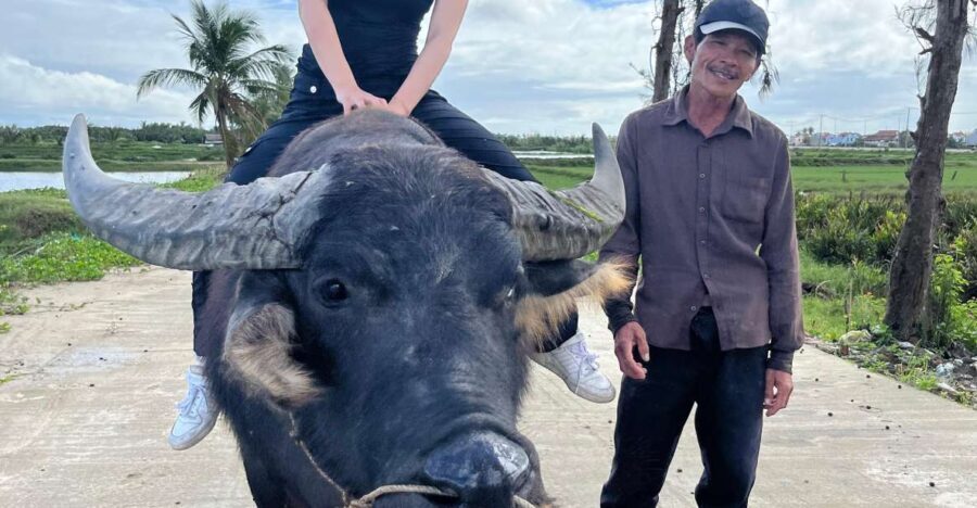 Funny day cycling, Buffalo riding and Basket boat - How It Compares to Other Experiences