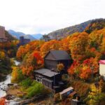 Furano & Biei Customised Private Day Tour (Up to 8 Pax / 9 Hours) - Who Should Consider This Tour?