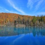 Furano Biei Tour Sapporo DEP: English Speaking Driver, No Guide - FAQs