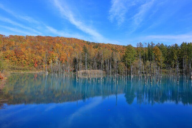 Furano Biei Tour Sapporo DEP: English Speaking Driver, No Guide - FAQs