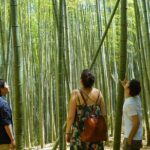 Fushimi Inari Hidden Hiking Tour - A Deep Dive into the Fushimi Inari Hidden Hiking Tour