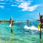 Galle & Benthota Full Day Tour From Colombo - The Practicalities: Transportation, Price, and Value