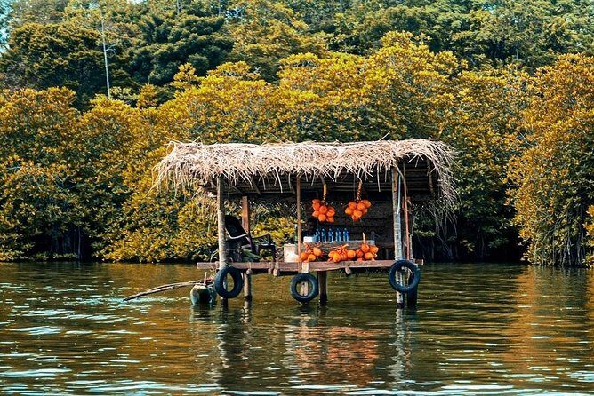 Galle, Bentota, Maadu River Curd at Sunset Day Trip from Colombo - Practical Details and What to Expect