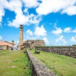 Galle & Bentota River Safari Private Tour from Beruwala Hotels - Why This Tour Provides Great Value