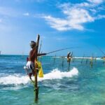 Galle day tour - Turtle Conservation and Local Wildlife