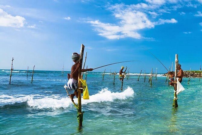 Galle day tour - Turtle Conservation and Local Wildlife