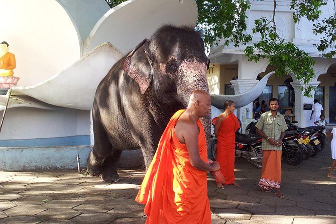 Galle Day Tour - Cultural and Natural Highlights