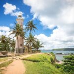 Galle Day Tour: Boat Safari, Stick Fishing & Turtles from Bentota - Final Thoughts