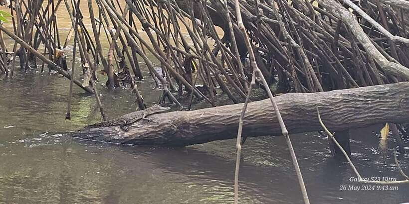 Galle Day Tour From Ahungalla/Kosgoda/Bentota/Beruwala - Is This Tour Worth It?