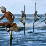 Galle Fort, Bentota, Hikkaduwa Beach: Day Tour from Colombo - A Deep Dive into the Day Tour Experience