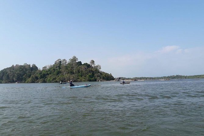 Galle Fort, Turtle, - Private Day Tour From Negombo or Colombo - Transportation and Timing