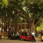 Galle: Fort Walking Tour with Local Guide + Lunch - Detailed Breakdown of the Experience