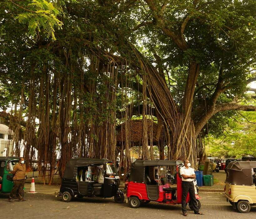 Galle: Fort Walking Tour with Local Guide + Lunch - Detailed Breakdown of the Experience