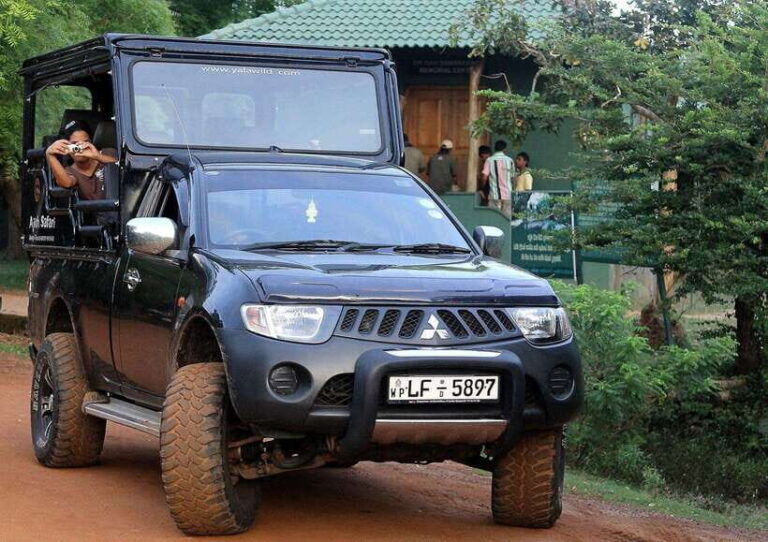 Galle/Mirissa/Tangalle: Transfer to Ella & Yala Safari - A Closer Look at the Experience