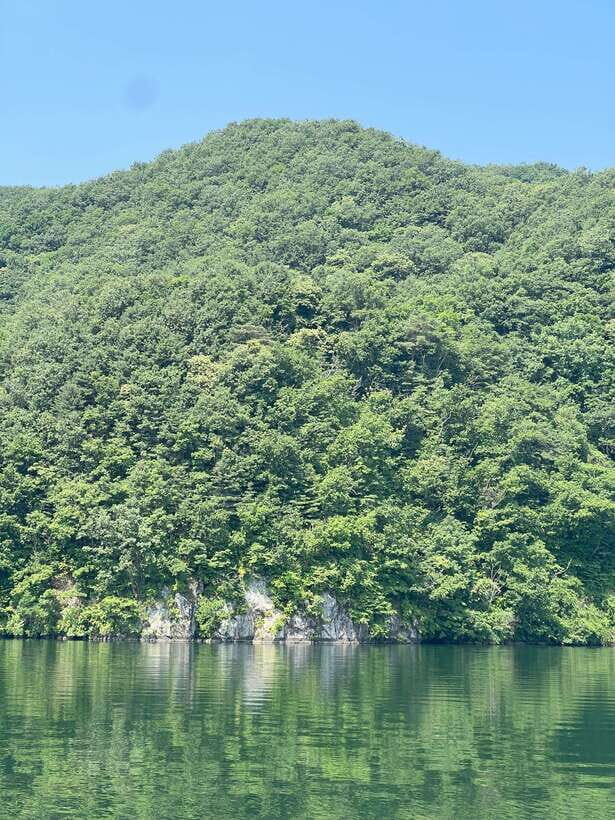 Gapyeong Day Trip : River Cruise to Walk around Jarasum - In-Depth Review: What to Expect & Why It Matters