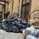 Garbage and Rats in New York City Walking Tour - Who Should Consider This Tour?