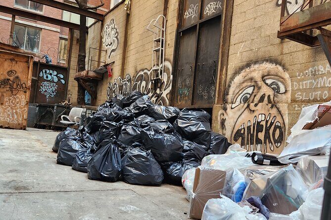 Garbage and Rats in New York City Walking Tour - Who Should Consider This Tour?