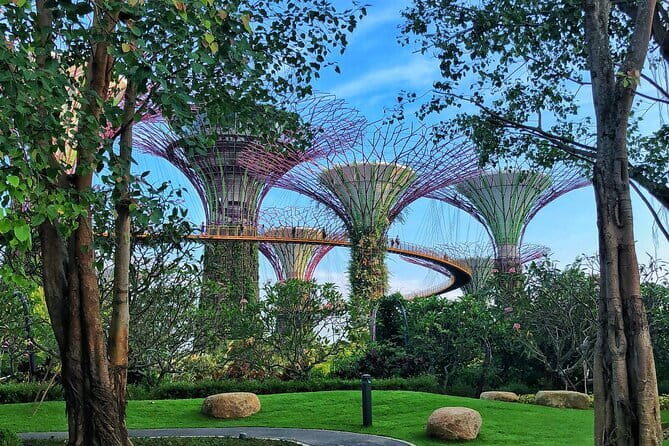 Gardens by the Bay Guided Tour - Frequently Asked Questions