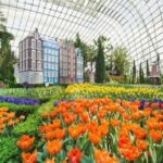 Gardens By The Bay Ticket - The Itinerary in Detail