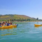 Gaviota Coast Kayak Tour Near Santa Barbara (3.5 Hours) - Authentic Insights from Travelers