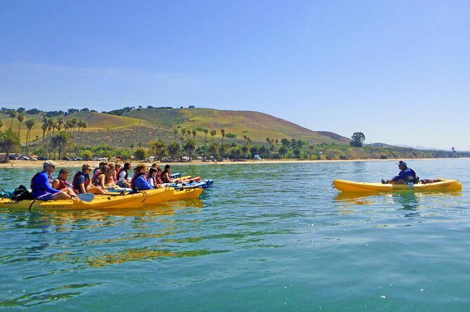 Gaviota Coast Kayak Tour Near Santa Barbara (3.5 Hours) - Authentic Insights from Travelers