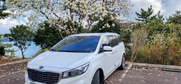 Geoje Island: Private or Shared Day Tours (Max 6) - Discovering Geoje Island: An In-Depth Review