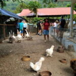 George Town, Penang: Malay Countryside Cycling - What to Expect on the Route