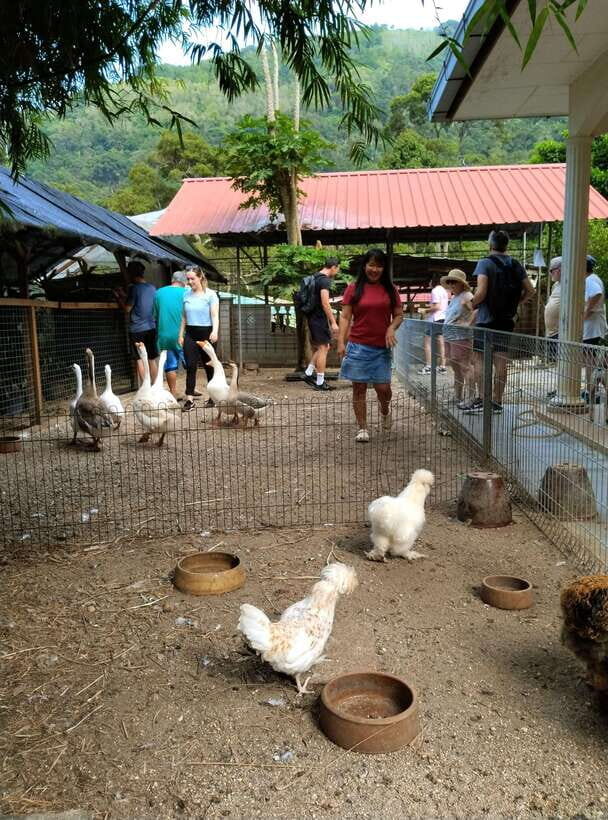 George Town, Penang: Malay Countryside Cycling - What to Expect on the Route