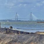 Get Out of Town! Visit 12 Lowcountry Stops with the Complete Charleston Tour! - Final Thoughts