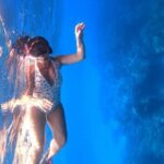 Get to know heaven on earth with Chivis del mar private - Who Is This Tour Perfect For?