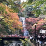 Get to know Minoo from Osaka. Katsuoji Temple, Ryuanji Waterfall and Ryuanji Temple - The Value of This Experience