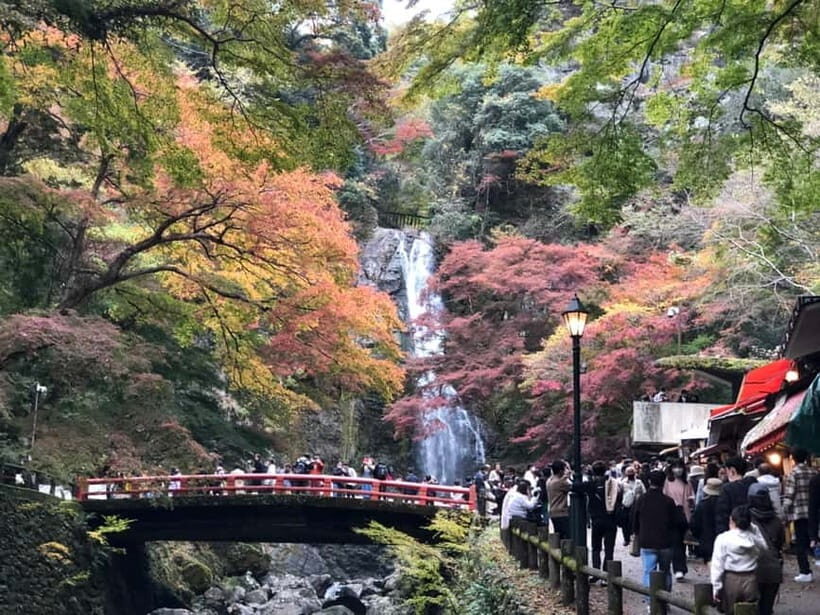 Get to know Minoo from Osaka. Katsuoji Temple, Ryuanji Waterfall and Ryuanji Temple - The Value of This Experience
