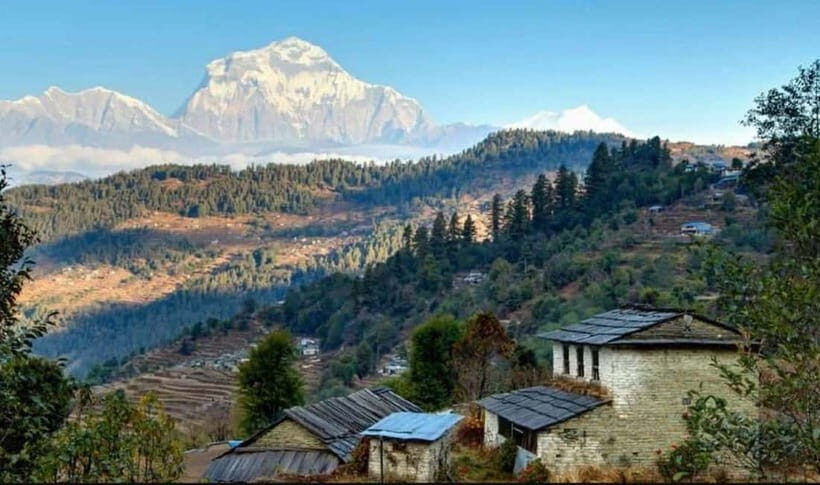 Ghorepani poon hill trek - What Makes This Trek Stand Out?