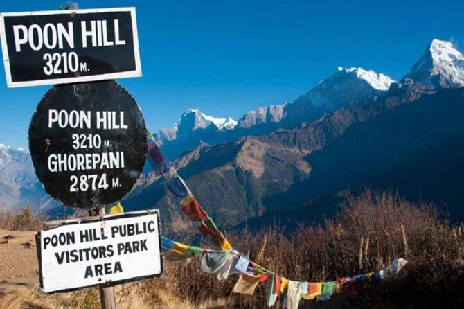 Ghorepani Poonhill Trek -8 Days - The Trek Begins: Nayapul and Ulleri
