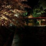 Ghost Stories and Nightlife Tour of Takayama (Private Tour - Price per Group) - Optional Bar Hopping and Nightcap