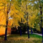 Ghostly Tales of Salem Walking Tour - FAQ