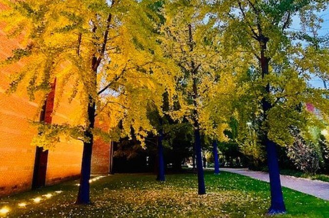 Ghostly Tales of Salem Walking Tour - FAQ