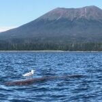 Ghosts of Historic Sitka - Walking Tour - Final Thoughts