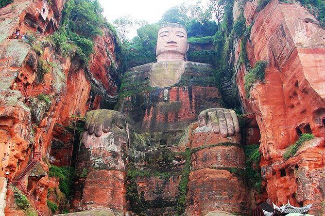 Giant Panda and Leshan Buddha Day Trip from Chengdu - Who Will Love This Tour?
